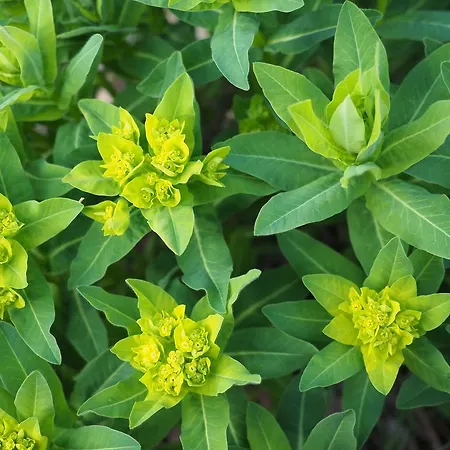 Planet Ancares Hotel Candín