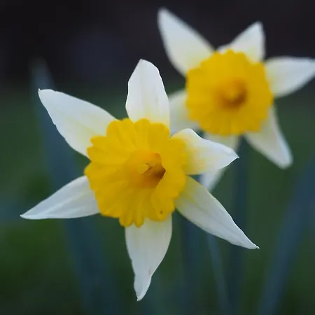 Planet Ancares Hotel