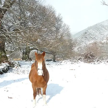 Hotel Planet Ancares *