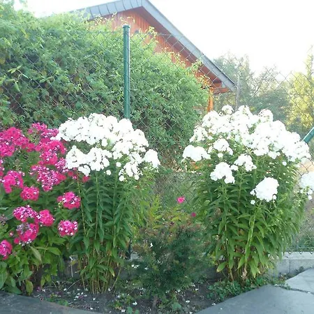 Planet Ancares * Candín