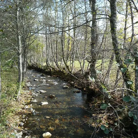 Planet Ancares * Candín