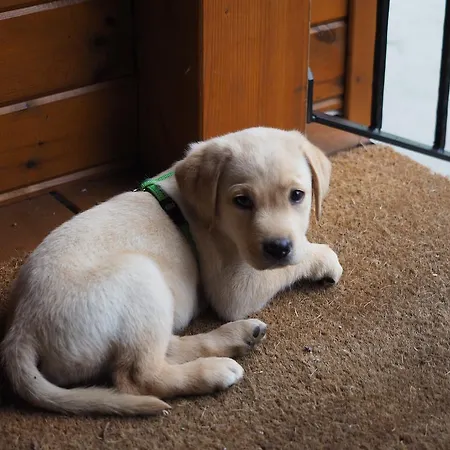 Hotel Planet Ancares