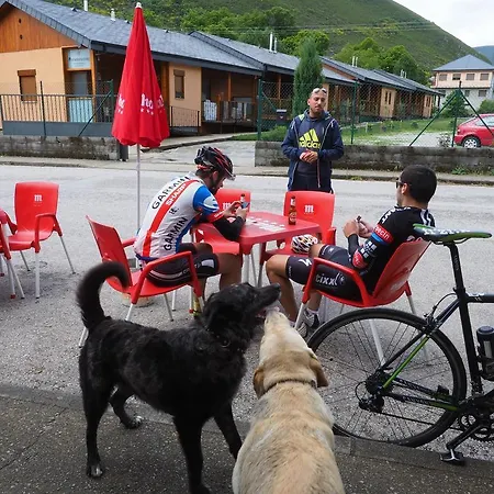 Planet Ancares Candín