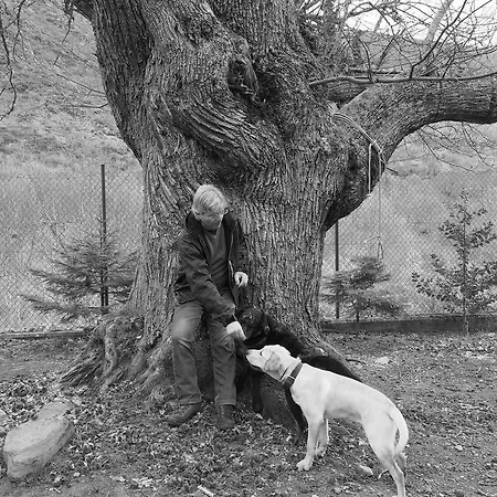 Planet Ancares Hotel Candín