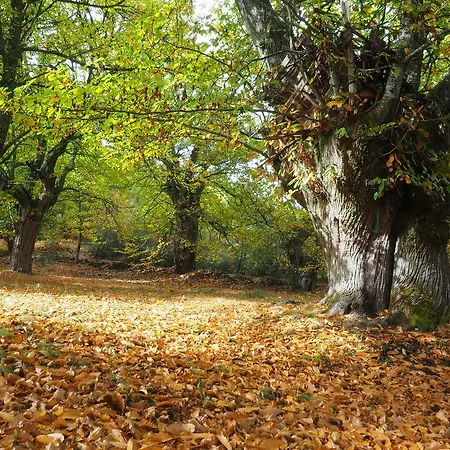 Planet Ancares Hotel